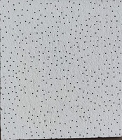Plafond en laine minérale moderne de 595*595 mm, épaisseur 14 mm, fabriqué en usine, ignifuge et résistant à l'humidité, pour hôtels, gymnases, centres commerciaux