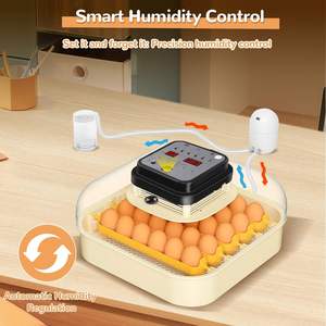 Incubatrice per 30 Uova con Rotazione Automatica, Controllo dell'Umidità, Sperauova Integrato, per Quaglie, Anatre, Polli, Pappagalli, Tasso di Schiusa del 98% - Product Image 5