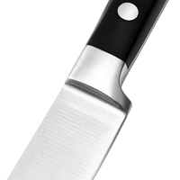 Sharp cinq pièces ensemble 3Cr13 acier inoxydable ABS poignée couteau de cuisine avec rivet emballé commodément pour un usage domestique