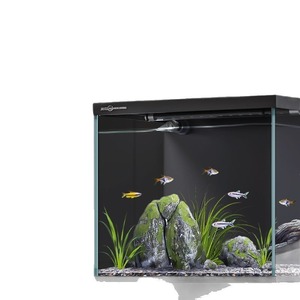 Ultra-helder vierkant luxe glazen <span class=keywords><strong>aquarium</strong></span> met geïntegreerde bodemfilter, slimme eco-systeem, verticaal, voor thuisgebruik, 200 ml - Product Image 5