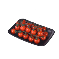 Fabrieks prijs plastic PET vlees schuimtrays zwarte fruit en groente verpakkingen voor supermarkten