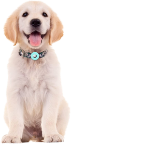 Estuche localizador antipérdida de estilo de dibujos animados, funda impermeable de silicona para <span class=keywords><strong>collar</strong></span> de etiqueta de aire para perros y gatos, collares para mascotas con bucle - Product Image 1