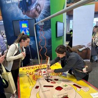 Carnaval Chirurgie Jeu Métal Interactif Compétence Défi Électrique Trampoline Parcs Parc D'aventure Amusement En Plein Air Centre Commercial