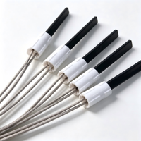 Allumeur de poêle à granulés en céramique de nitrure de silicium 110V 120V 220V 240V 400-650W pour brûleur à paille