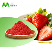 Poudre de fraises lyophilisées (FD) pour crème glacée en vrac du fabricant