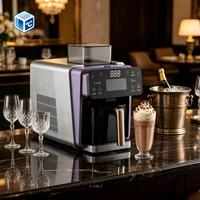 Machine à glace pilée OEM pour usage domestique, 110 V 60 Hz, 25 kg/24 h, machine à glace pilée pour glace en flocons, fabrication rapide de glace en 1 minute