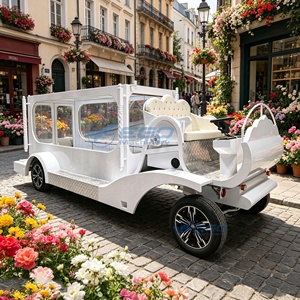 Véhicule funéraire électrique blanc personnalisé de haute qualité, le plus populaire en usine, avec finition peinture 3K et sièges en cuir - Product Image 5