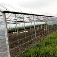 Kit de serre multi-spans de grande taille, système hydroponique, structure en acier galvanisé pour l'agriculture commerciale, fourni par l'usine