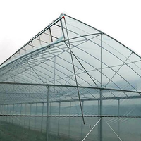 Grande structure de tunnel de serre en acier galvanisé à chaud multi-travées, longueur personnalisable pour l'agriculture hydroponique de tomates
