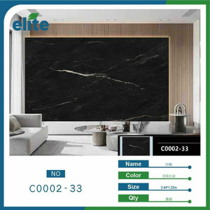 Pannello di parete UV nero di alta qualità Design moderno europeo per la decorazione di interni per la camera da letto soggiorno Hotel-244X122m - Product Image 1