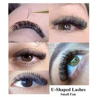 Fournitures d'extensions de cils en gros de qualité supérieure 2D 3D 4D 5D en forme de U, courbures D C CC DD, effet volumineux, finition mate foncée, en forme de W, cils parallèles YY U, logo personnalisé