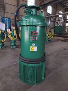 BQS(QBK) Sfero Dökme Demir Dalgıç Kum Pompası Exdb IMb Kömür Madeni ve Petrol Patlayıcı Ortamları için Shandong - Product Image 5