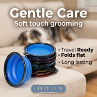 Vente en gros OEM/ODM – Gamelles pliables anti-déversement en plastique pour animaux de compagnie, gamelles surélevées isolées en silicone, portables et pliables pour chiens