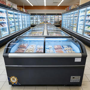 Réfrigérateur commercial à double porte vitrée de 800 L, congélateur profond pour la présentation de glaces et de sucettes glacées, idéal pour les supermarchés et les magasins de proximité - Product Image 1