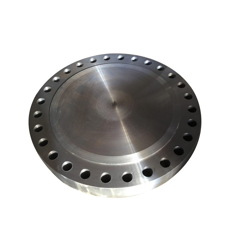 Flange Steel Bearing Rubber Coupling Carbon Steel ASTM A182 F347H Stainless Steel WN Welding Neck Flange Forged