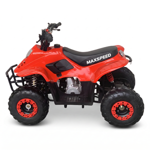 ATV Todoterreno de Gasolina de 125cc y 4 Tiempos, <span class=keywords><strong>Cuatrimoto</strong></span> con Certificación CE, Neumáticos Resistentes de Hierro, Arranque Fácil y Mejorado - Product Image 3