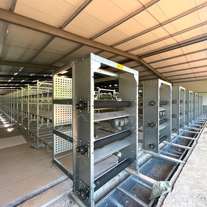 Jaula de Pollo Comercial de Alambre de Acero Galvanizado de 3/4 Niveles para Granja Automática, Equipo de Cría de Aves de Corral Grande, Venta al por Mayor de Fábrica - Product Image 4