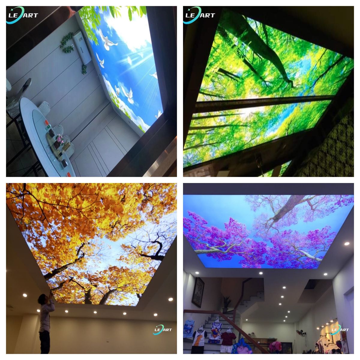 Nature tree sky ceiling