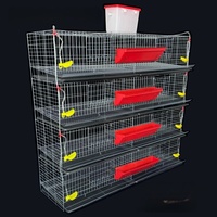 Cage d'élevage automatique pour cailles avec nettoyage automatique du fumier - Système de cage d'élevage avicole automatique