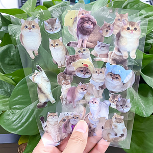 Bán Buôn Không Thấm Nước Tùy Chỉnh In Ấn Vinyl Nụ Hôn Cắt Dễ Thương PVC Sticker Tấm Cho Kế Hoạch Văn Phòng Phẩm - Product Image 3