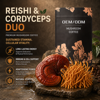 Poudre de café aux champignons 5-en-1 fonctionnelle OEM ODM, base riche en Arabica, mélange de boisson énergisante instantanée, directement de l'usine