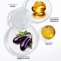 Vente en gros Masque exfoliant anti-acné Acide salicylique éclaircissant Masque à l'argile et à la boue pour le visage Bâton de soins de la peau Baume nettoyant cosmétique