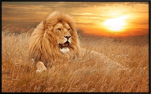 Œuvres d'art Cristal porcelaine Peinture Lion Animaux Images Mur Art Salon Moderne Oeuvre d'art Peinture - Product Image 2