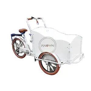OEM电动成人3轮货运自行车儿童运输三轮车移动休闲食品车出售