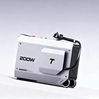Machine de nettoyage laser portable industrielle Lumitool à refroidissement par air, 200W, à impulsions, MOPA, pour le bois, la rouille, la pierre et le métal