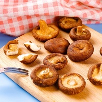Renyah kering keripik jamur Shiitake kering 4kg kantong kecil suhu rendah vakum keripik sayuran goreng asin rasa keras