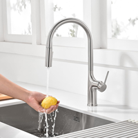 Robinet de cuisine classique certifié DOE en acier inoxydable 304, 2 modes, finition nickel brossé, monocommande, montage sur plan, pour usage hôtelier