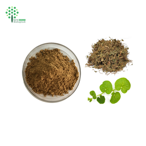 Экстракт Gotu Kola/экстракт центеллы азиатской 5%-90% общее количество тритерпенов - Product Image 3