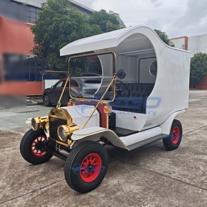 Autobús Turístico Eléctrico de 2 Plazas, Diseño Clásico Vintage Personalizado, de Lujo, para Hoteles y Resorts - Product Image 2