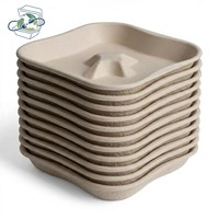 Assiettes jetables personnalisées de qualité supérieure, surface givrée, en bagasse de canne à sucre, recyclables pour la restauration