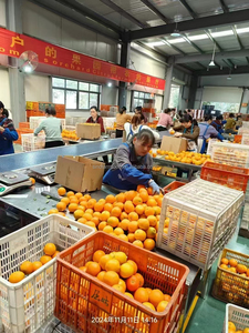 15 kg de <span class=keywords><strong>Naranjas</strong></span> Valencia Frescas y <span class=keywords><strong>Limones</strong></span> de China, Producto Cítrico Premium, 4-5 mm, 4 Meses de Duración - Product Image 2