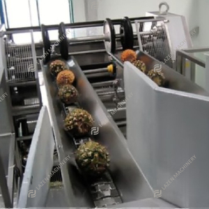 Ligne de production de jus d'ananas NFC industrielle, machine de fabrication de jus d'ananas entièrement automatique - Product Image 3
