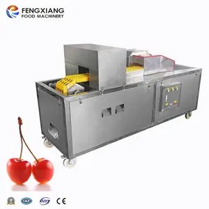 hot sale Plum Stoner Cherry Stone Removing Machine Prune Dates Pitting Machine for fruit