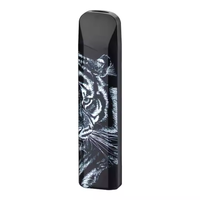 Usine 2026 Nouveau produit Design fantastique Petit briquet à vapeur de chaleur sans flamme à vendre Briquet USB Expédition rapide