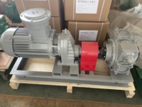Pompe rotative à palettes auto-amorçante YB-80, moteur antidéflagrant 10 CV, transfert de carburant 5 bars pour diesel, essence, kérosène, huiles