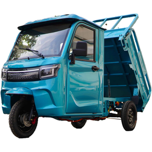 Entrepôt allemand EEC 2000W DDP Cargo Trike COC CE Vélo à trois roues <span class=keywords><strong>Tricycle</strong></span> électrique Tuktuk Cabine pour le conducteur - Product Image 1