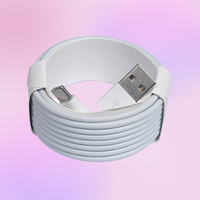 Kabel Data Pengisian Cepat USB ke Type-C 3A 3 Meter 9.8ft CE Factory untuk iPhone 15 16 17 Pro Max iPad