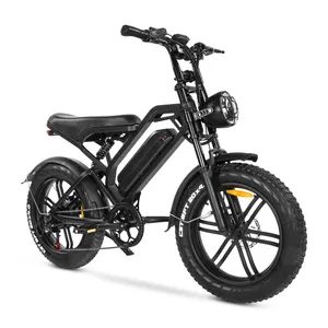 Eu Usa 창고 공장 전기 자전거 250w 산 미니 전기 먼지 자전거 성인 오프로드 듀얼 모터 전기 자전거 스틸 OEM