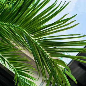 Palmier artificiel en noix de coco préservée, aspect réaliste, décoration tropicale pour Noël, <span class=keywords><strong>jardin</strong></span>, parc à thème, centre commercial - Product Image 3