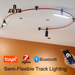 Smart Tuya <strong>Zigbee</strong> Wifi Rail Ceiling Surface Decorative Pendant <strong>Lamp</strong> Magnetic Track Light Ceiling Curve Line Light for Shop Home - Product Image 2
