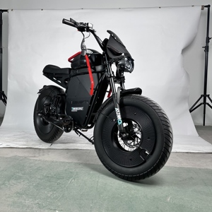 Motocicleta Todoterreno X1 con Motor sin Escobillas de 1000w, Batería de Litio y Neumáticos Anchos - Product Image 2