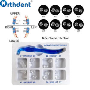 Kit di Stampi Estetici per Denti Posteriori Orthdent, Strumenti per Restauro Perfetto e Riempimento Dentale, Terapia Orale, 1 Set - Product Image 4
