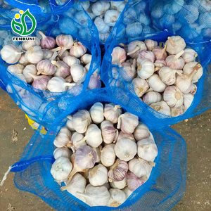Ajo chino Normal Blanco Rojo Púrpura Mercado Ajo Pelado Ajo Chino Semillas de ajo para <span class=keywords><strong>plantar</strong></span> - Product Image 4