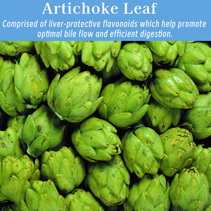 OEM Package Liver Detox Capsules Milk Thistle Extract Capsules Cleanse Detox Body Protect Liver Cell Function Herbal Formula - Product Image 6