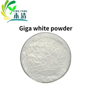 Agents blanchissants pour la peau, extrait à base de plantes, qualité cosmétique, poudre blanche comme neige, fût de 25 kg, Giga White - Product Image 2