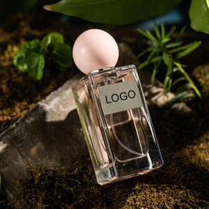 Parfum 50ml/100ML Logo personnalisé Créez votre propre marque Collection Parfums Parfum original pour femme - Product Image 2